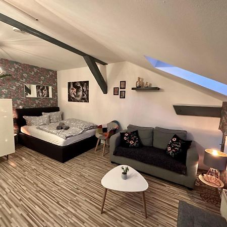 Apartment Zum Roten Fuchs Inkl. Parkplatz 埃尔福特 外观 照片