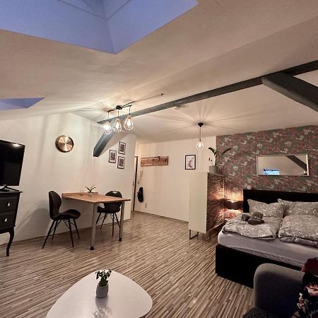 Apartment Zum Roten Fuchs Inkl. Parkplatz 埃尔福特 外观 照片