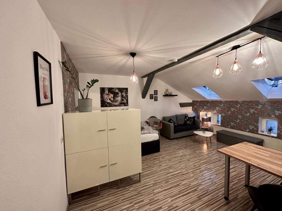 Apartment Zum Roten Fuchs Inkl. Parkplatz 埃尔福特 外观 照片
